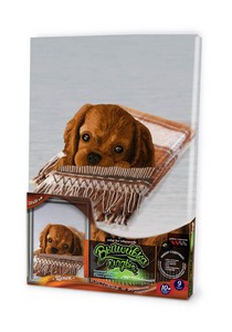 ���� ������� ������ �� ����� ���� Danko Toys